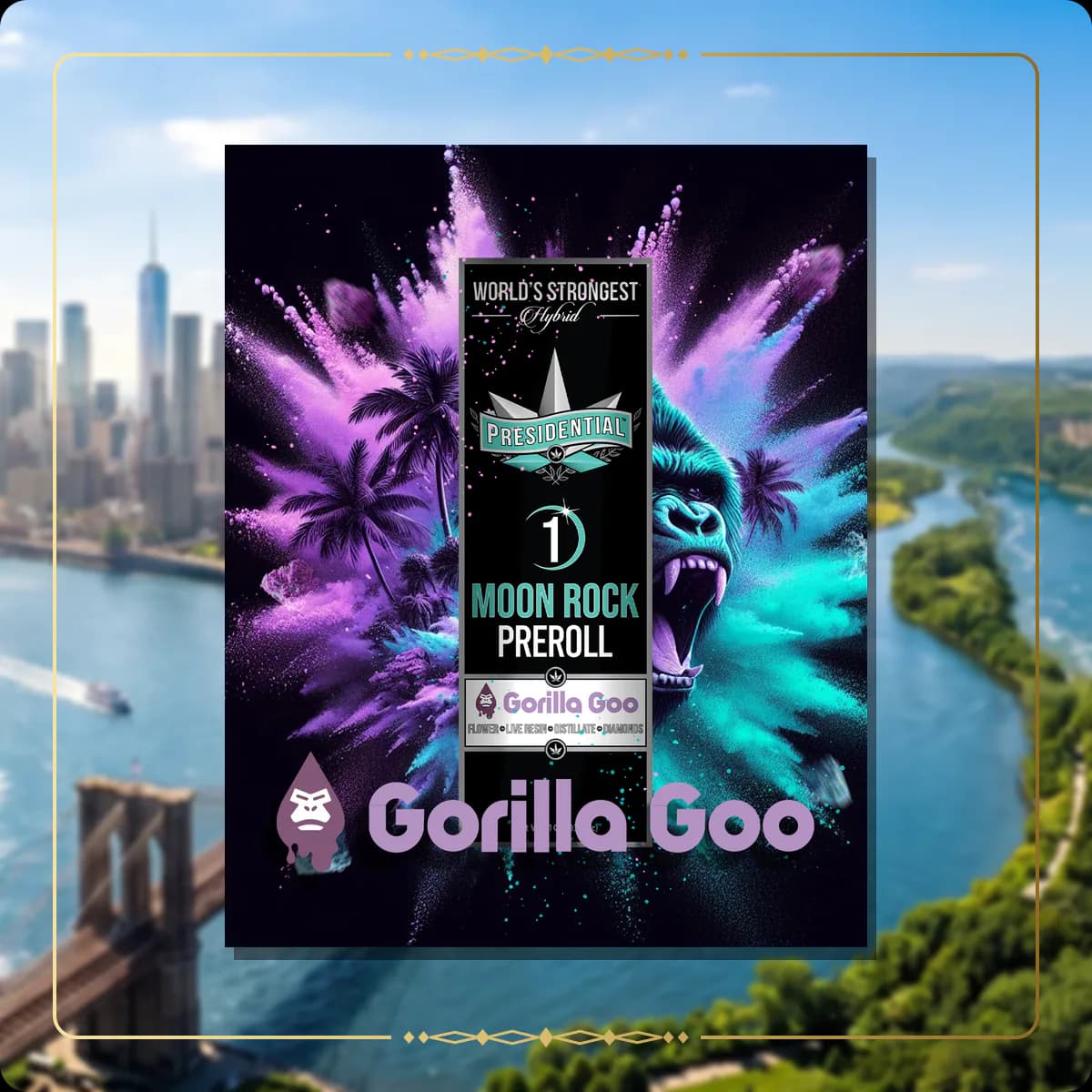 Gorilla Goo Presidential pre-roll for the New York Gold page