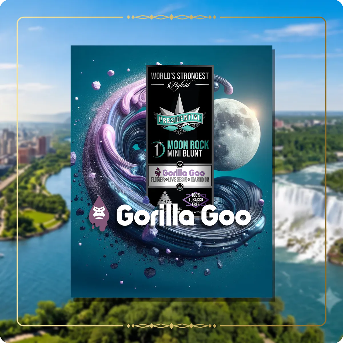 Gorilla Goo Presidential Moon Rock for the New York Gold page