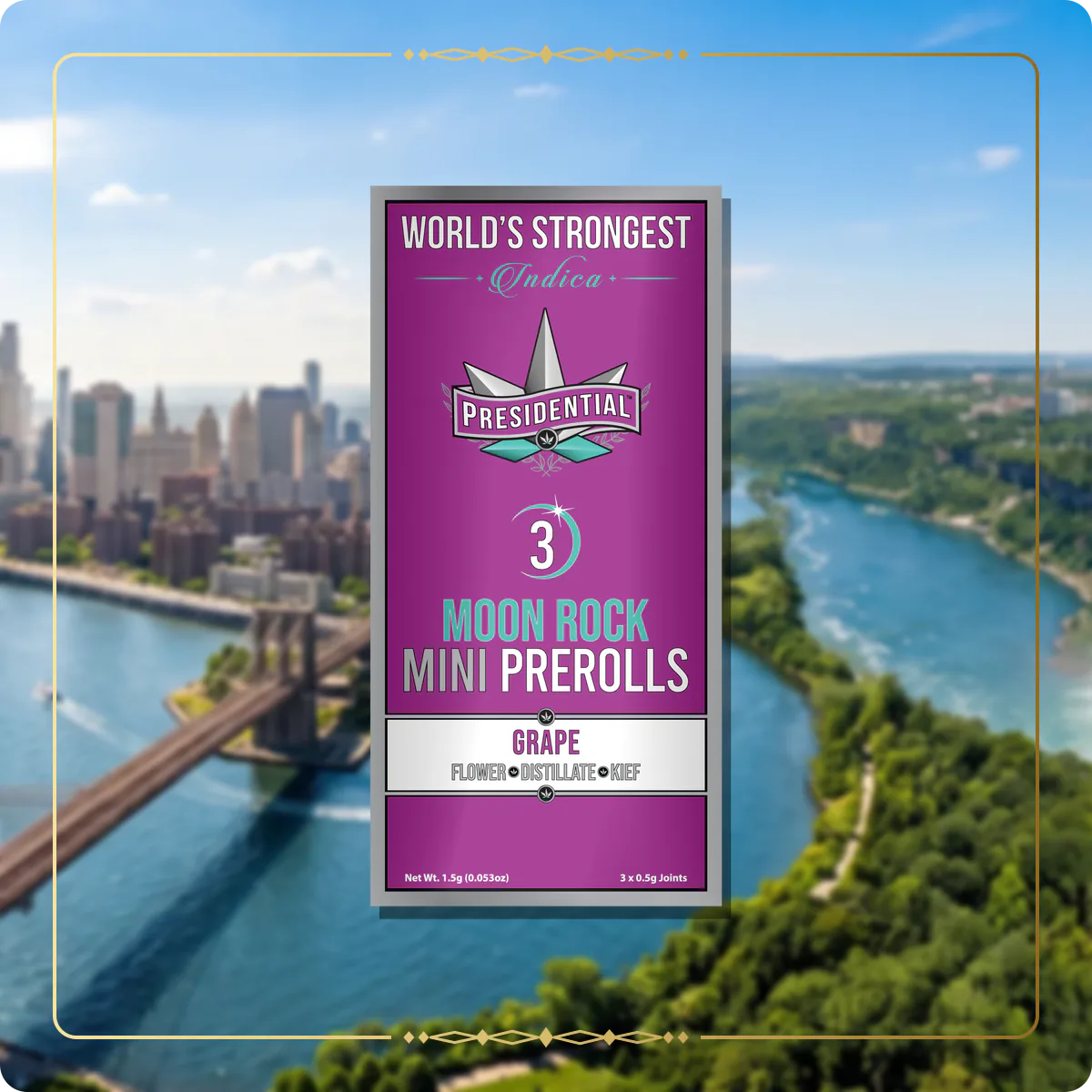 Grape Presidential mini variant 2 for the New York brand story