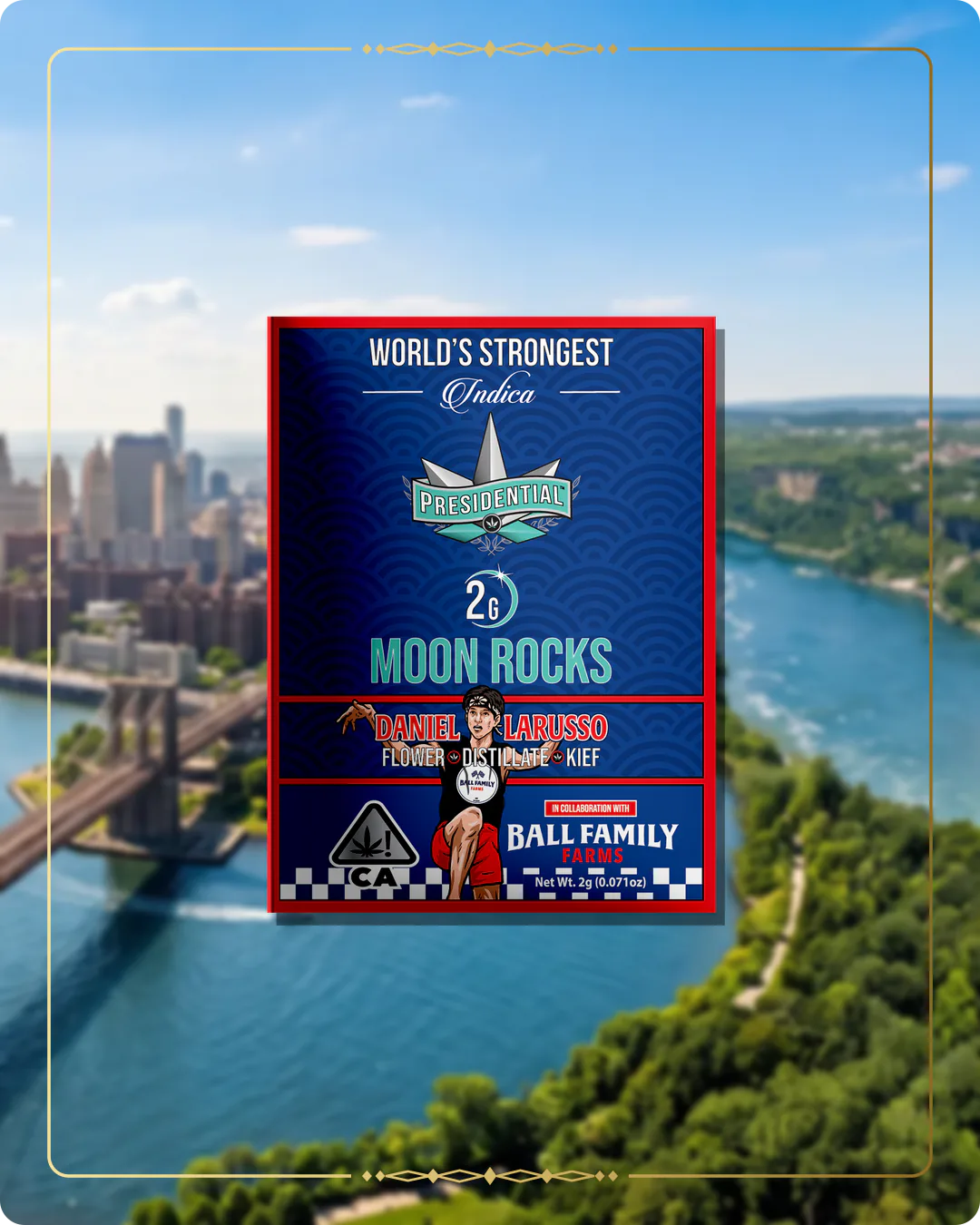 Daniel LaRusso Presidential Moon Rock variant 2 for the New York Moon Rocks page