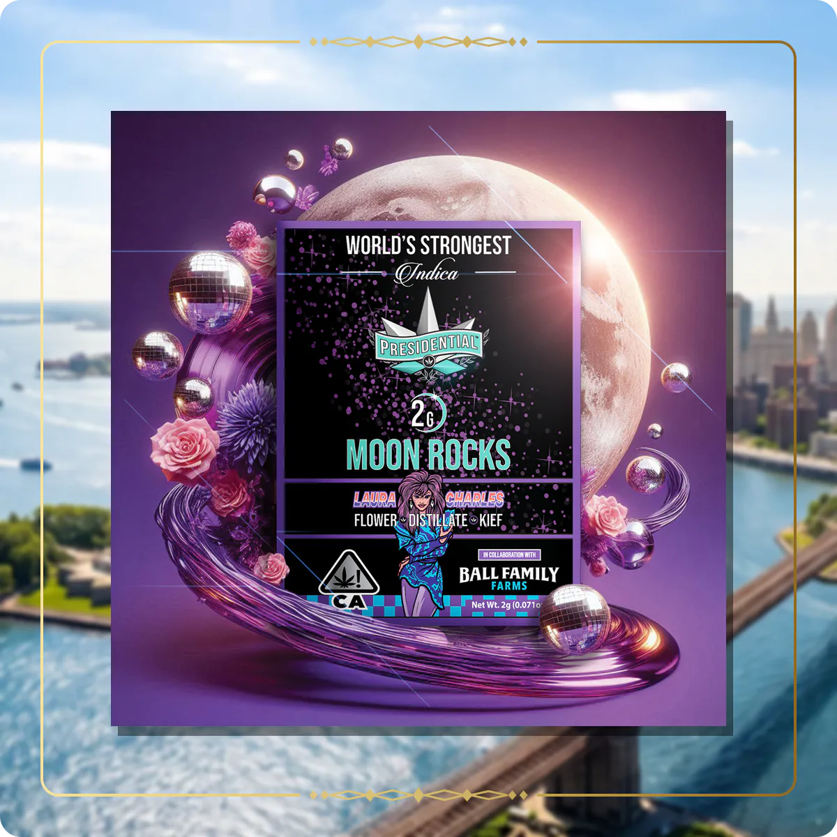 Laura Charles Presidential Moon Rock variant 2 for the New York Moon Rocks page