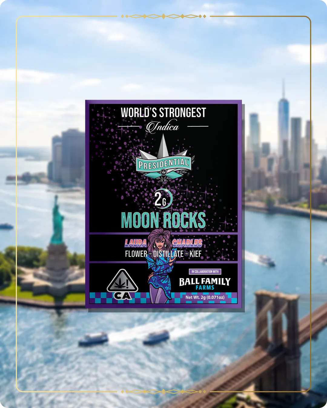 Laura Charles Presidential Moon Rock for the New York brand story