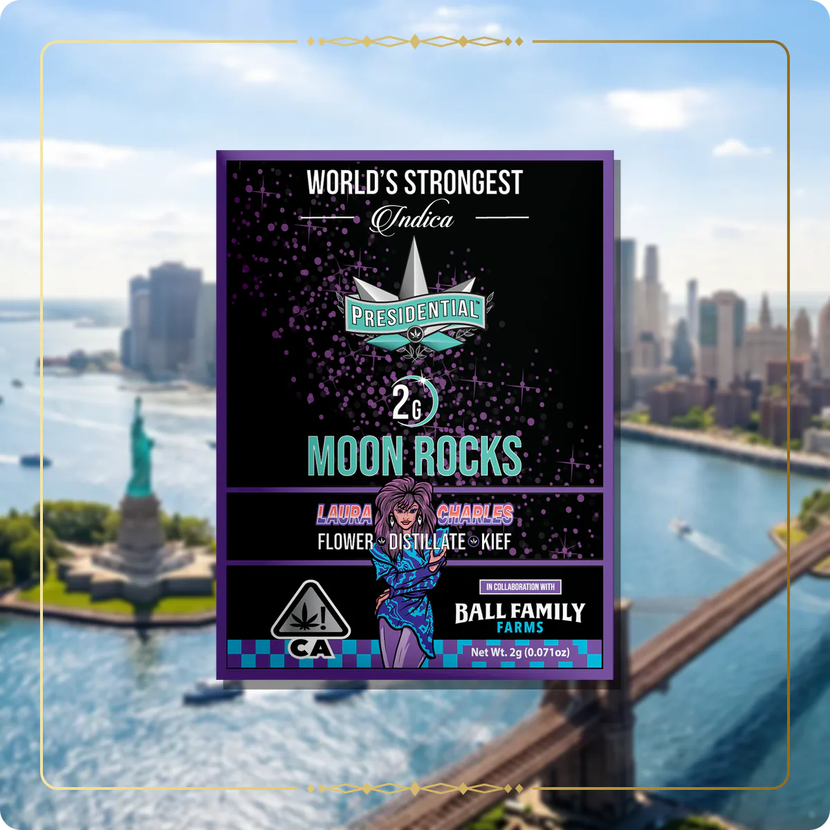 Laura Charles Presidential Moon Rock for the New York Moon Rocks page