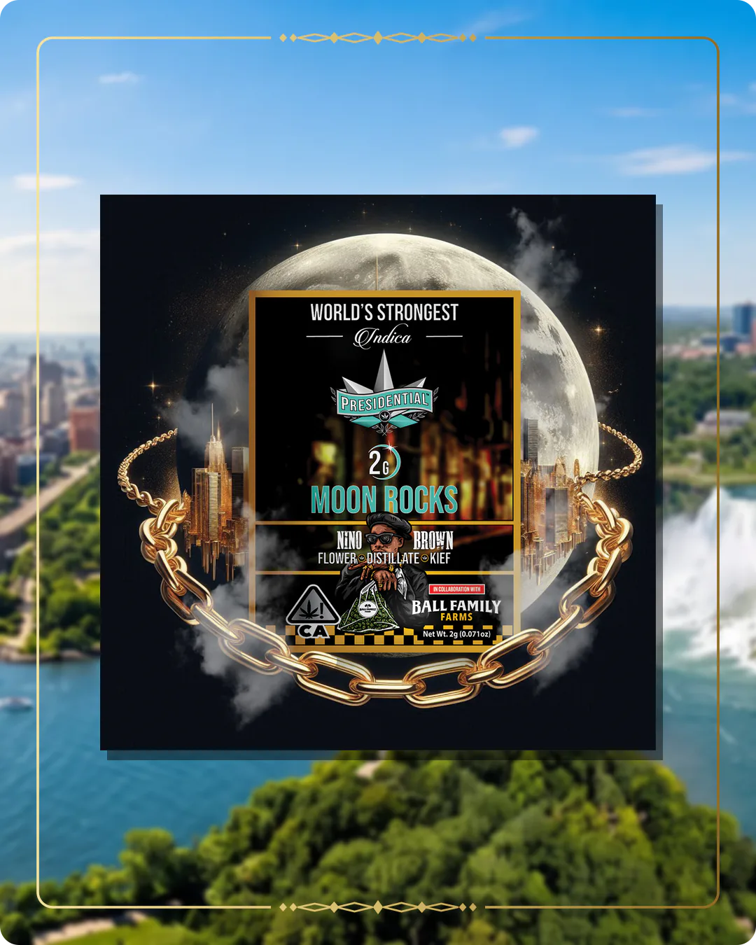Nino Brown Presidential Moon Rock for the New York home collection