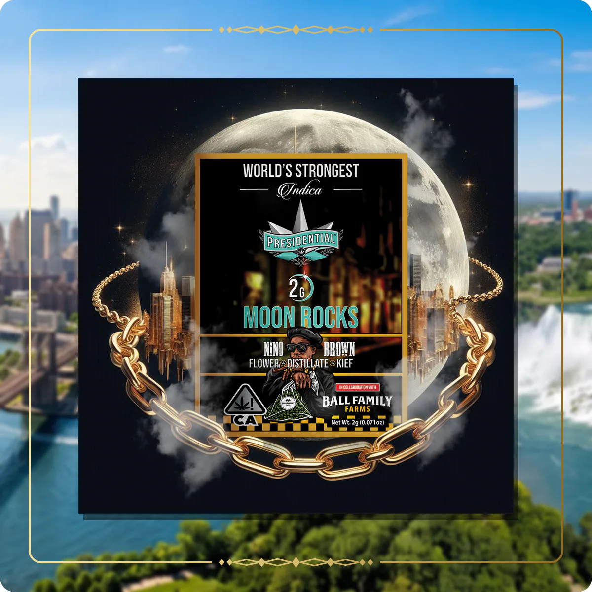 Nino Brown Presidential Moon Rock for the New York Moon Rocks page