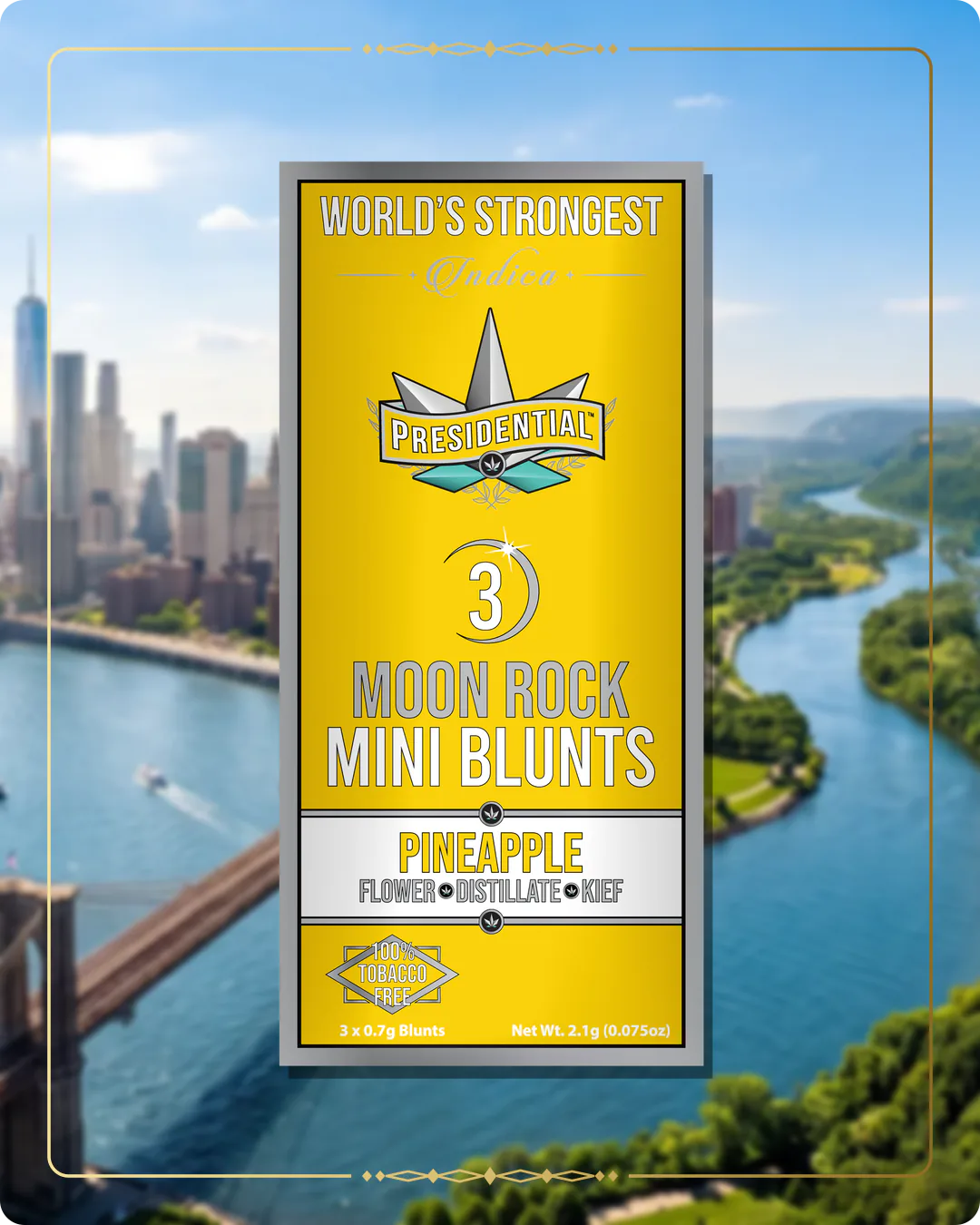 Pineapple Presidential mini for the New York Find Us page