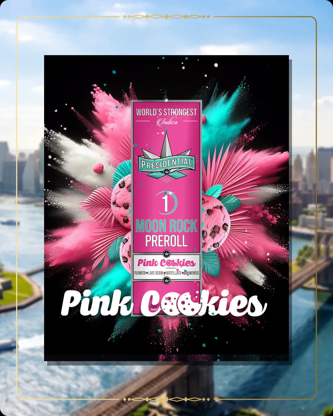 Pink Cookies Presidential pre-roll for the New York Find Us page