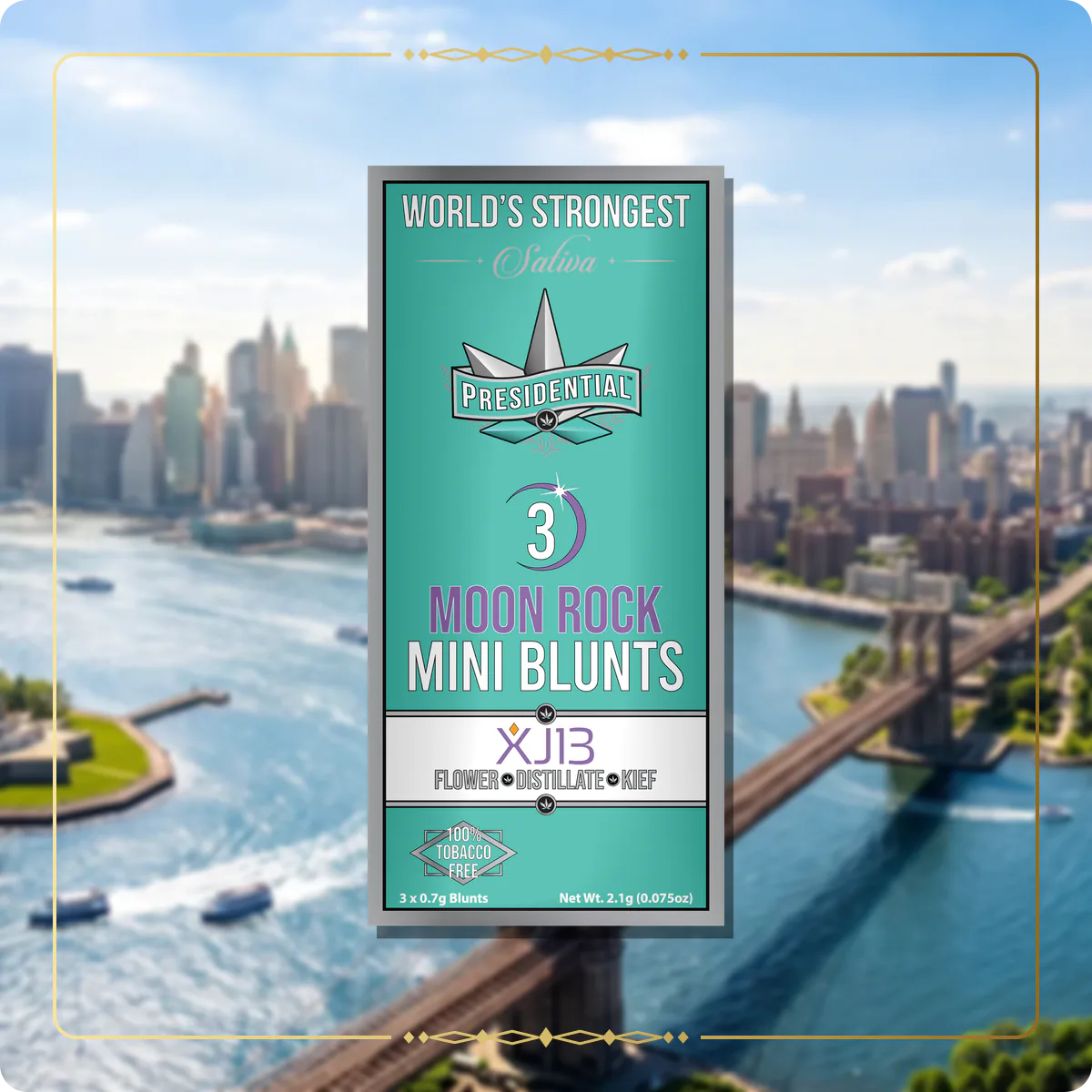 XJ-13 Presidential mini for the New York Gold page